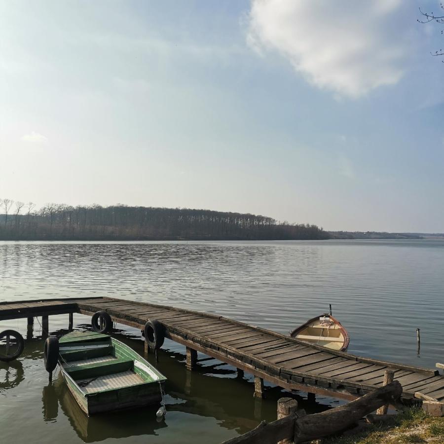 Forest View Studio Apartman Kaposhomok Kültér fotó