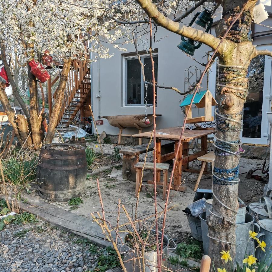 Forest View Studio Apartman Kaposhomok Kültér fotó