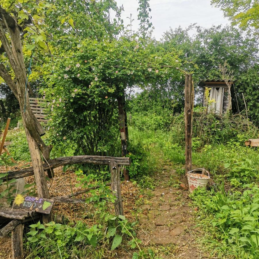 Forest View Studio Apartman Kaposhomok Kültér fotó