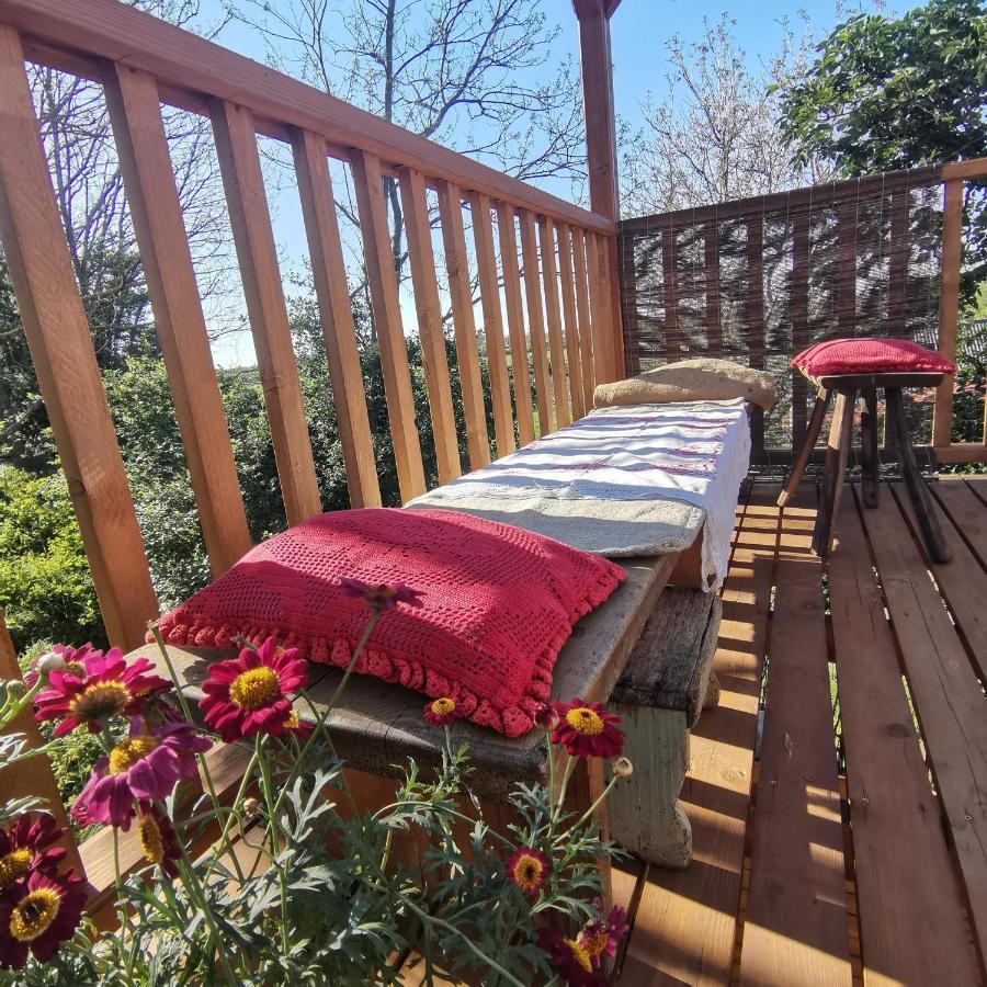 Forest View Studio Apartman Kaposhomok Kültér fotó