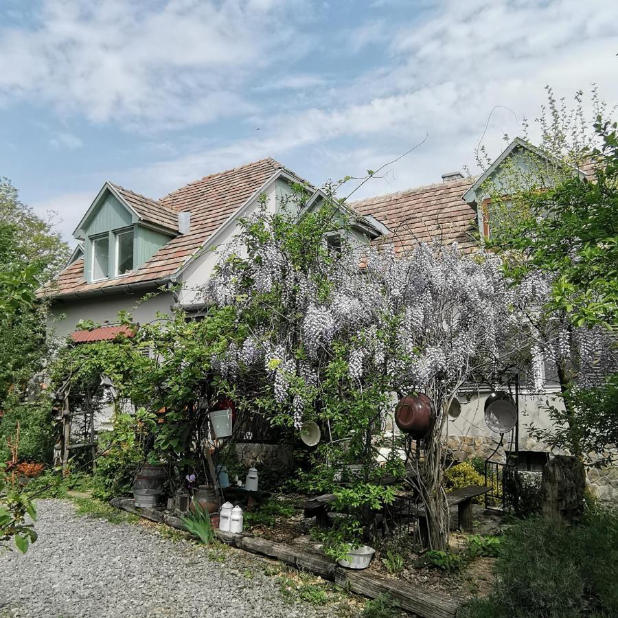 Forest View Studio Apartman Kaposhomok Kültér fotó