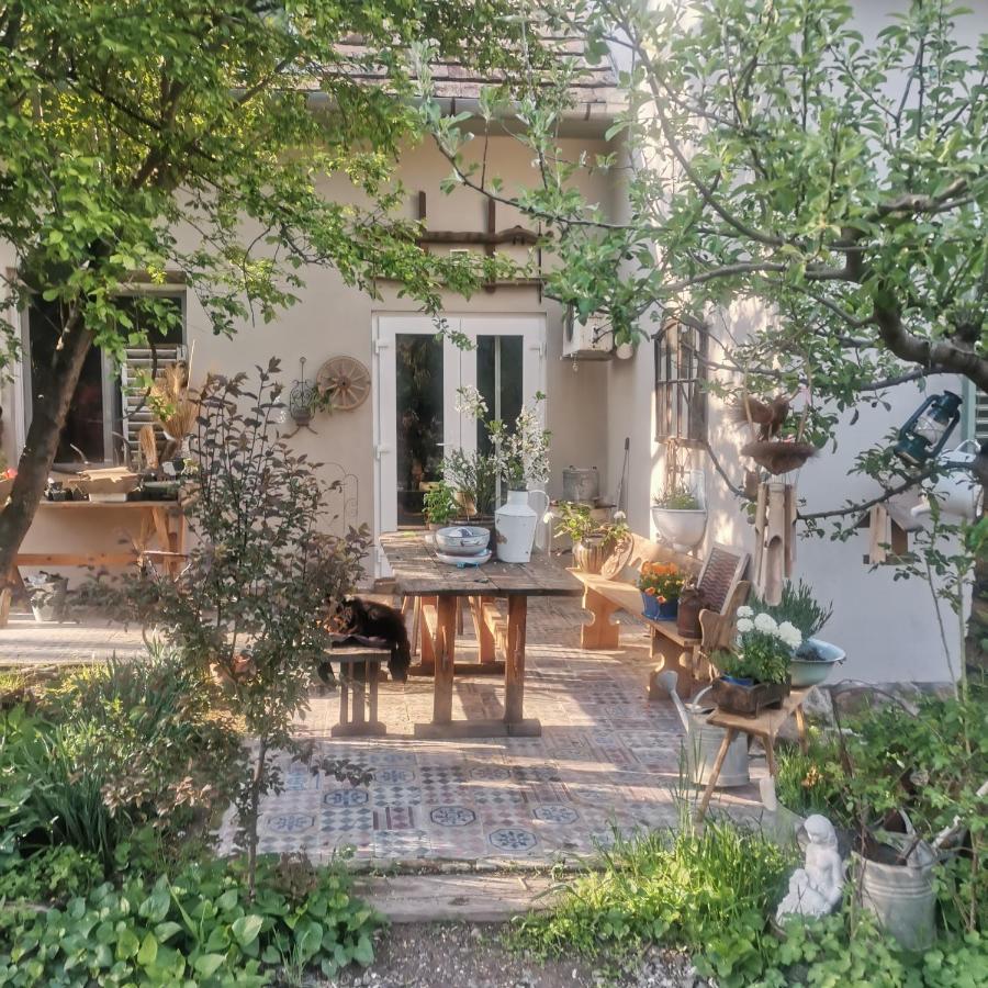 Forest View Studio Apartman Kaposhomok Kültér fotó